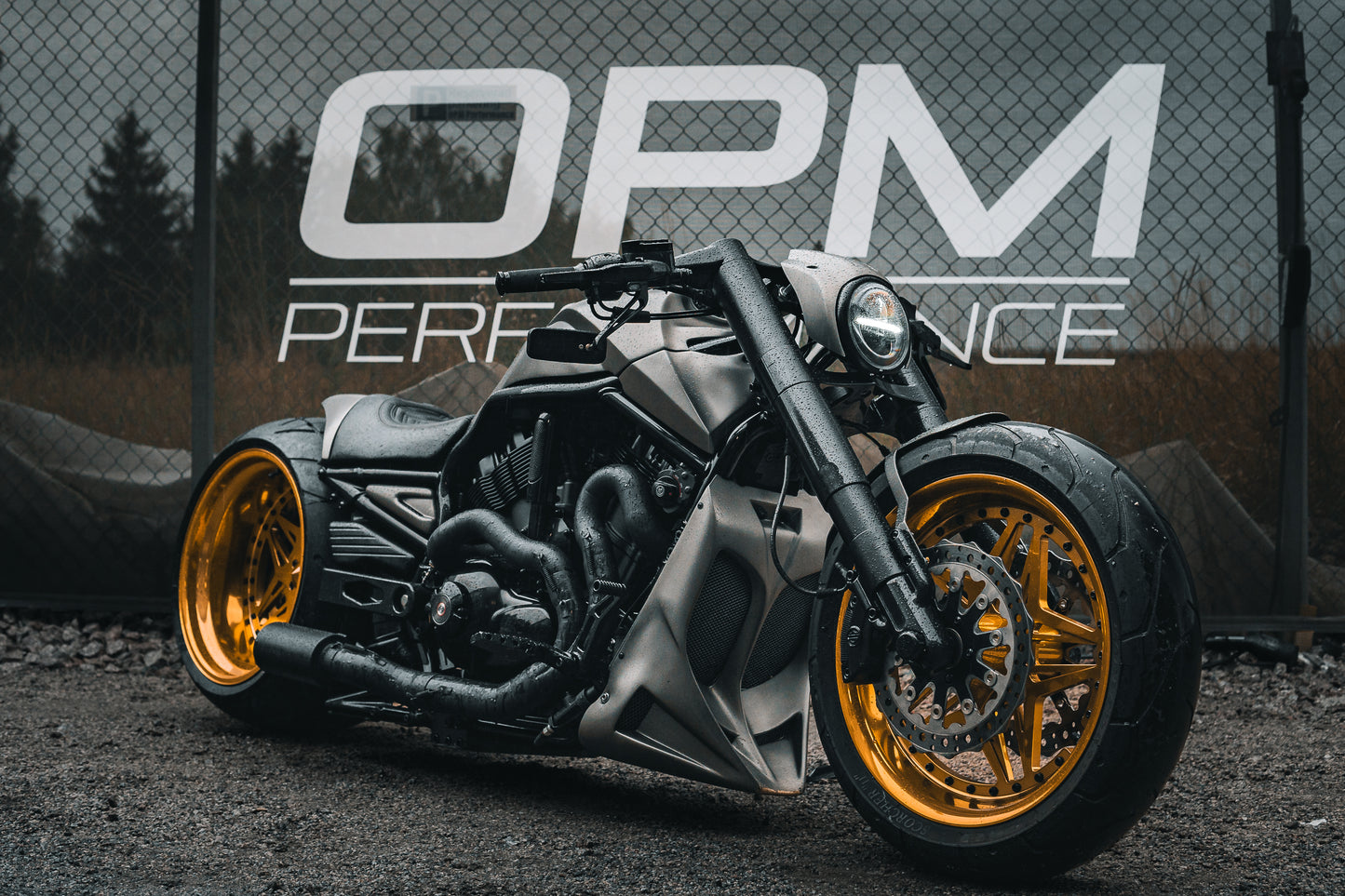 Harley Davidson Nightrod Custom single swing 360