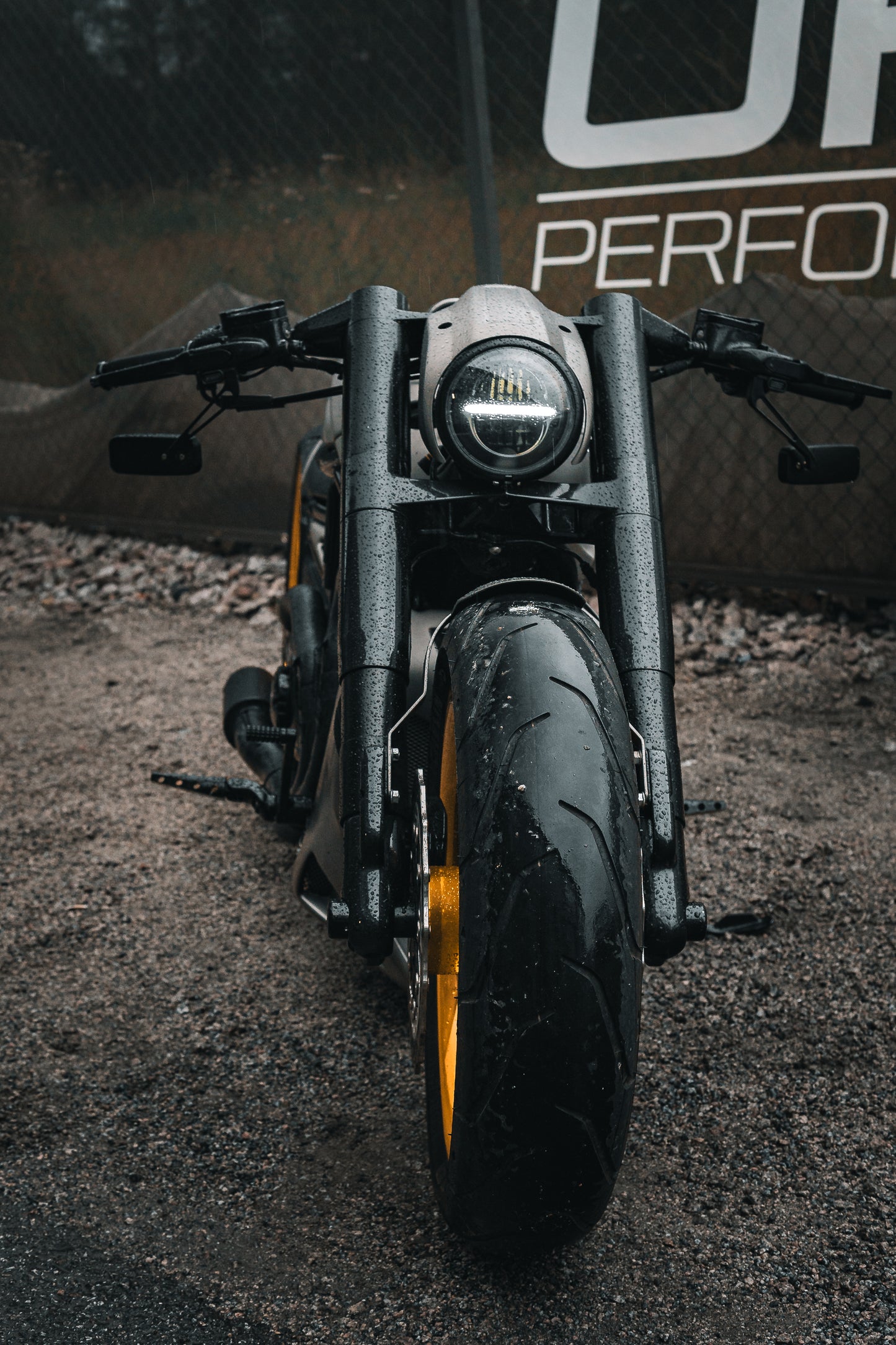 Harley Davidson Nightrod Custom single swing 360