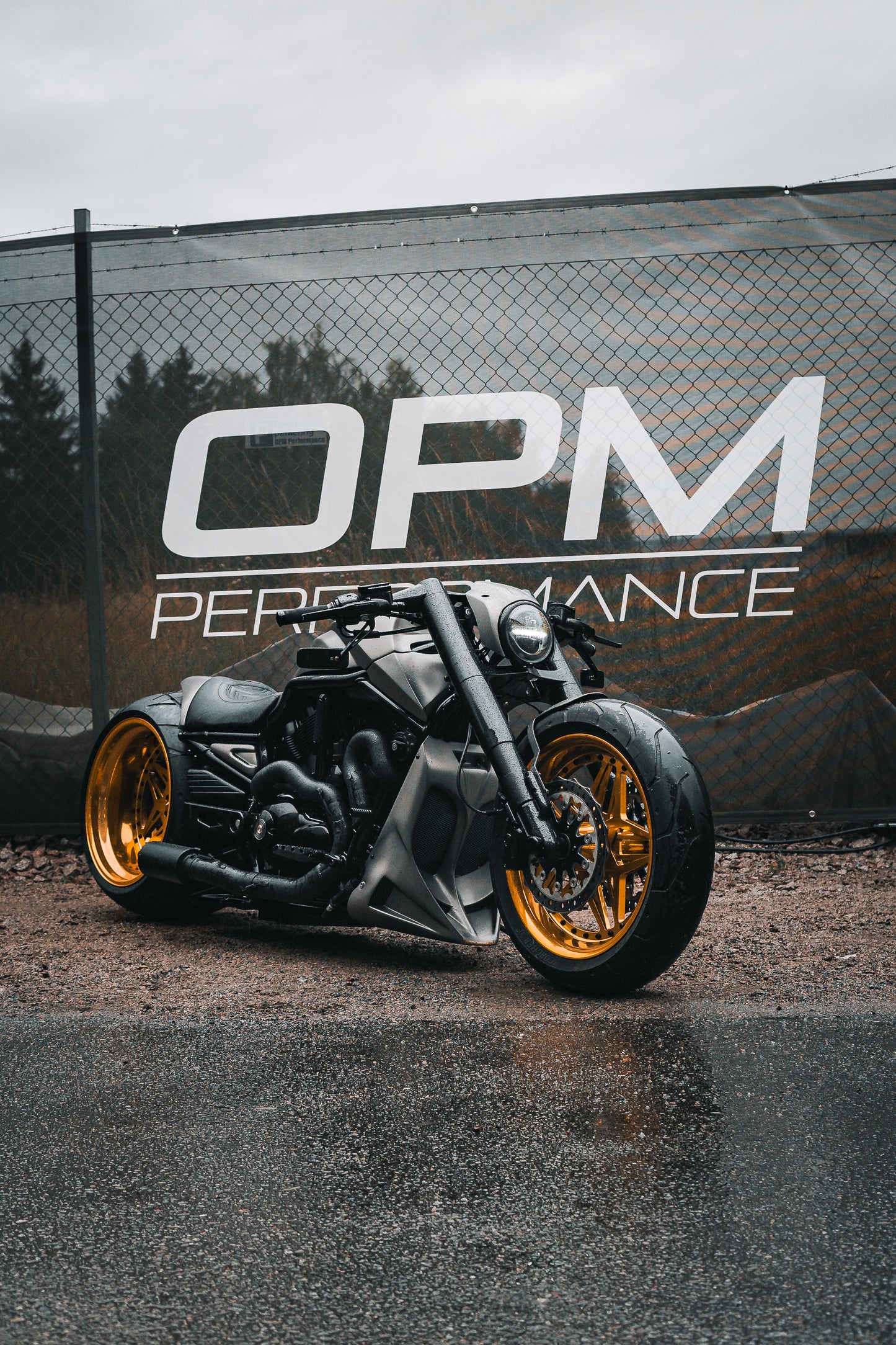 Harley Davidson Nightrod Custom single swing 360